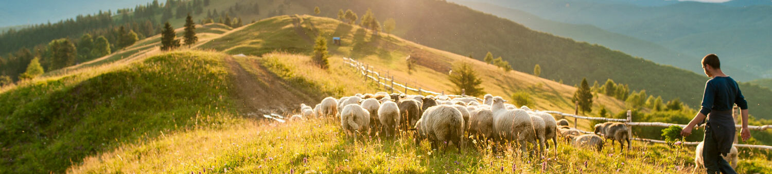 Fédération pastorale de l'Ariège