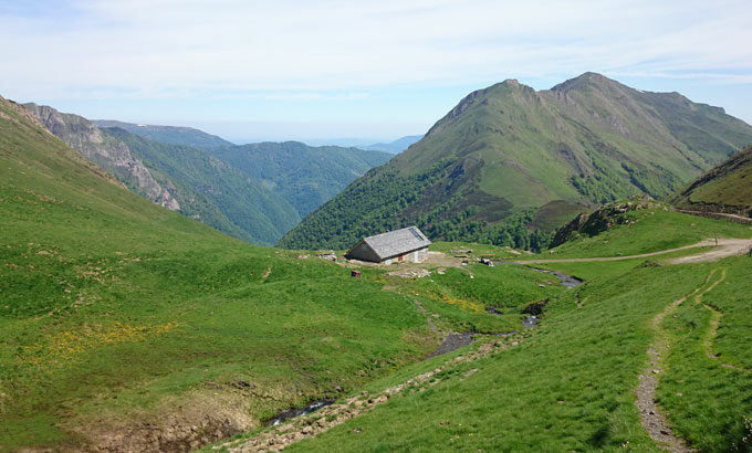 Pistes pastorales