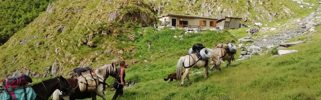 Assurer le ravitaillement des cabanes d’estive ariégeoises « opérations 2025 »