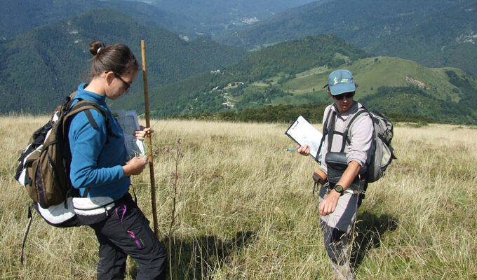Pastoralisme Collectif  Conseil et Diffusion 2025