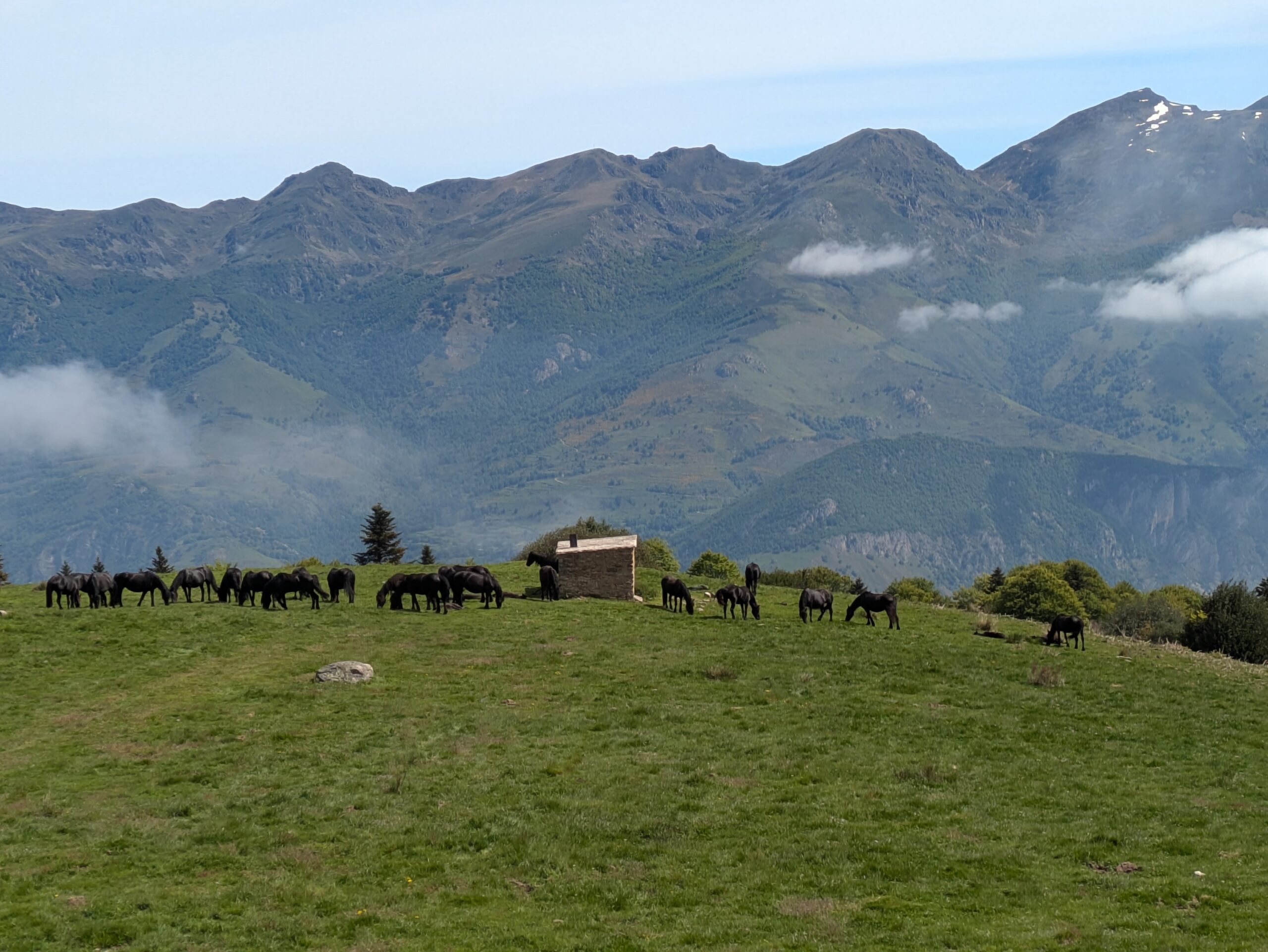 Conseil – Diffusion aux agents d’accueil de l’Office du Tourisme des Pyrénées Ariégeoises et du Plateau de Beille
